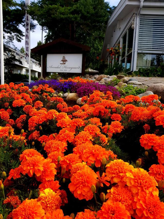 Arendal Herregaard Sommerstuer & Leiligheter Faervik Ngoại thất bức ảnh
